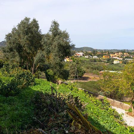 Live Finca El Gamonal Bajo Con Piscina Y Jardin En La Naturaleza Santa Brigida  Exterior photo