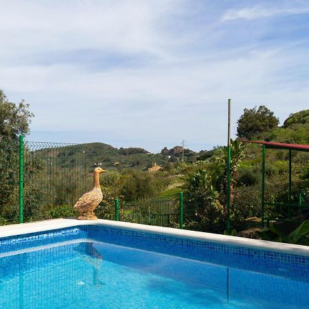 Live Finca El Gamonal Bajo Con Piscina Y Jardin En La Naturaleza Santa Brigida  Exterior photo